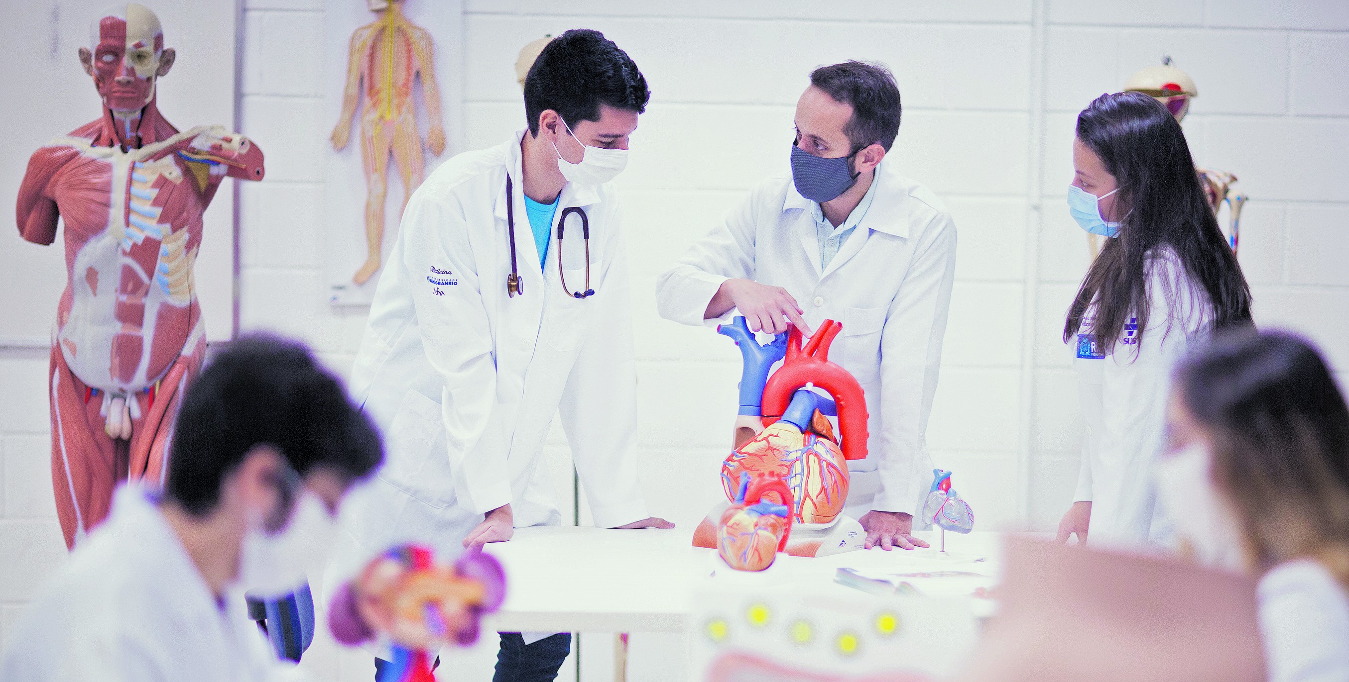 Brazil scraps new medical school growth under More Doctors program