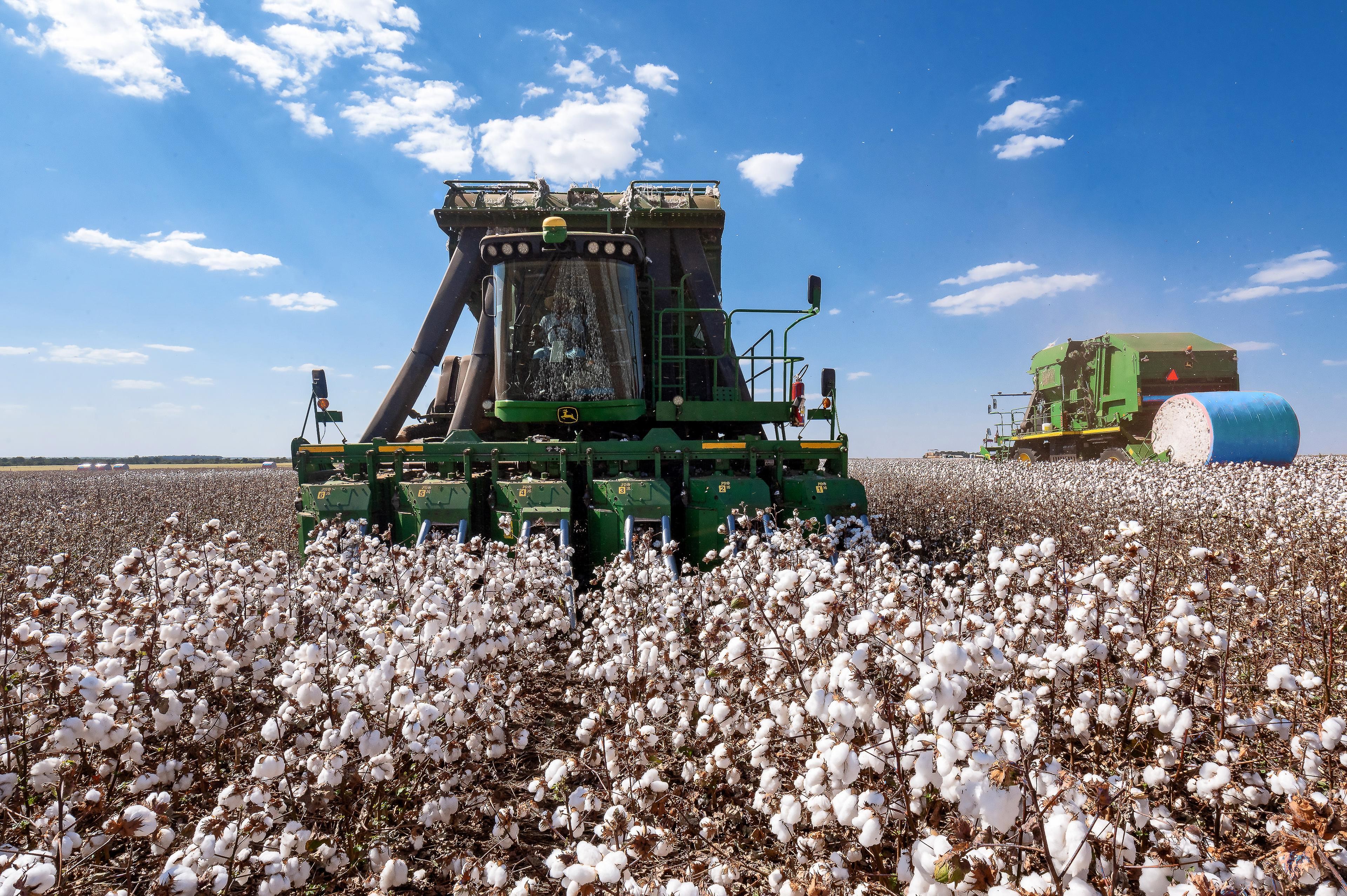 Sapezal overtakes Sorriso as Brazil’s top farming municipality