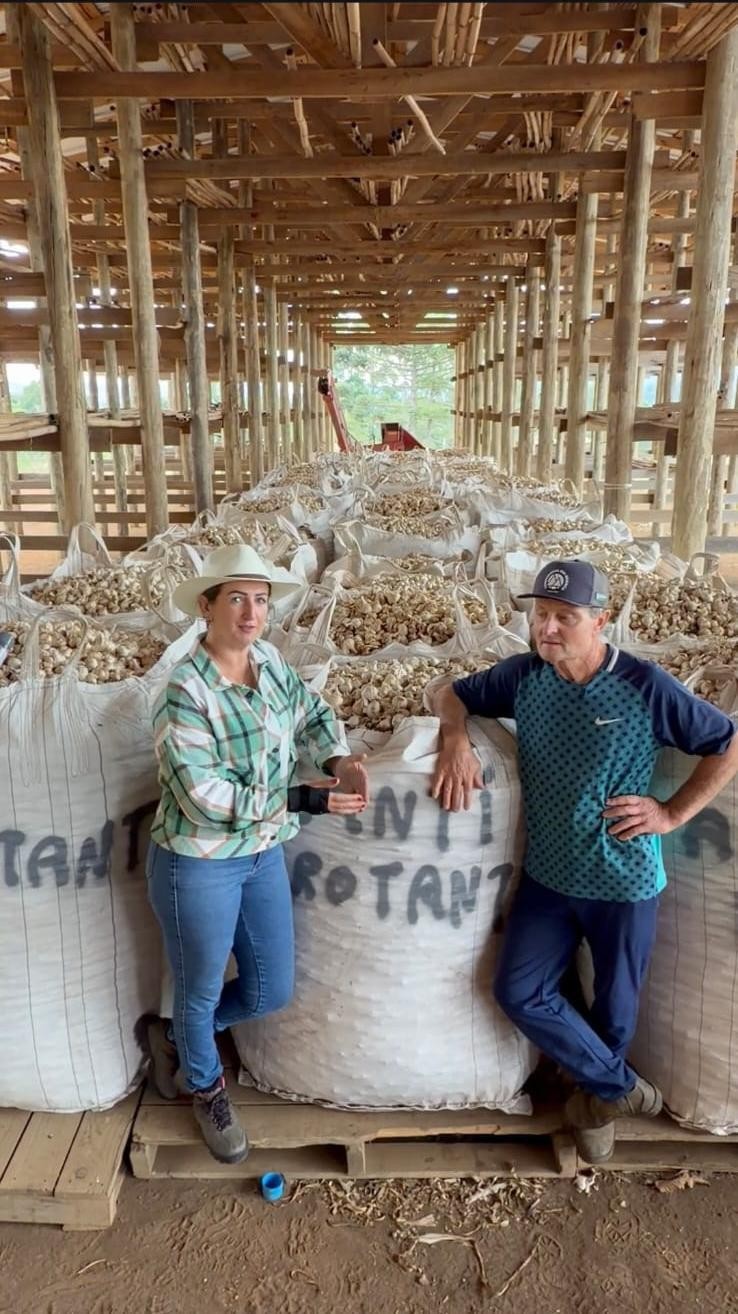 Cheap imports squeeze Brazil’s garlic industry