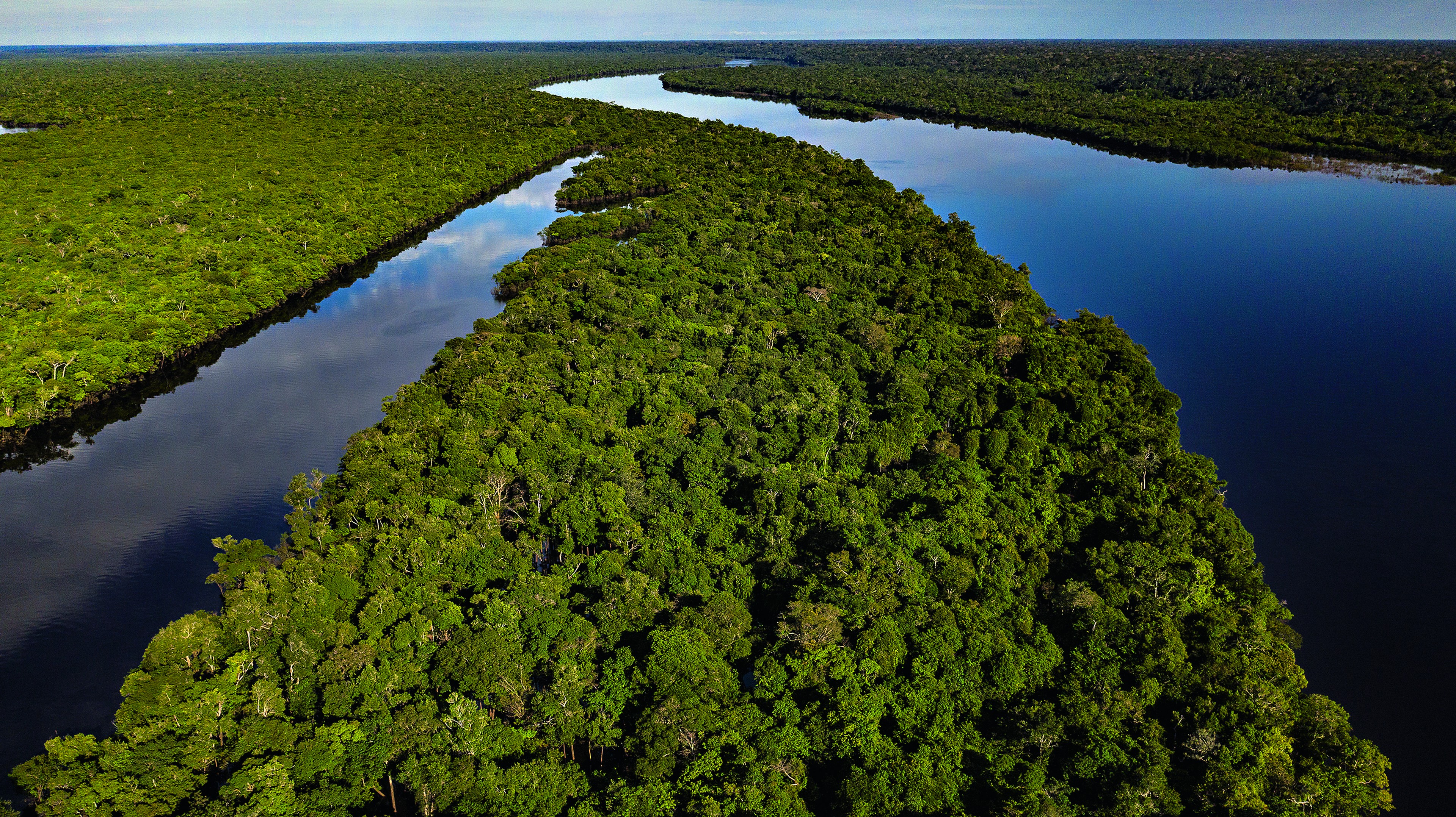 Opinion: As the Amazon nears a tipping point, improving readiness could be our only way back