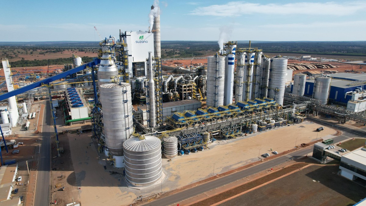 Pulp makers plan to invest R$105bn in Brazil by 2028