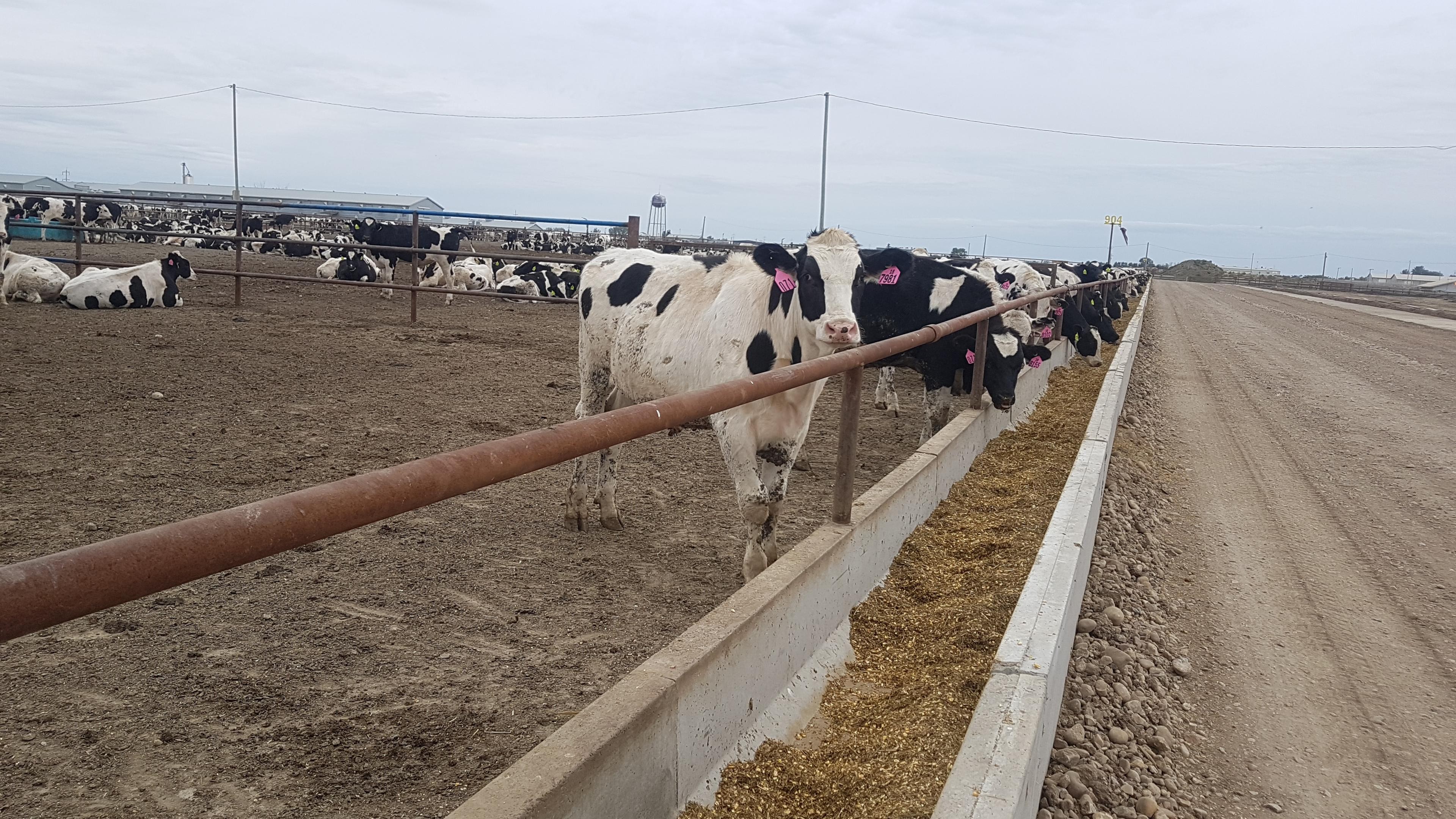 New U.S. investigation opens new risk front for Brazil