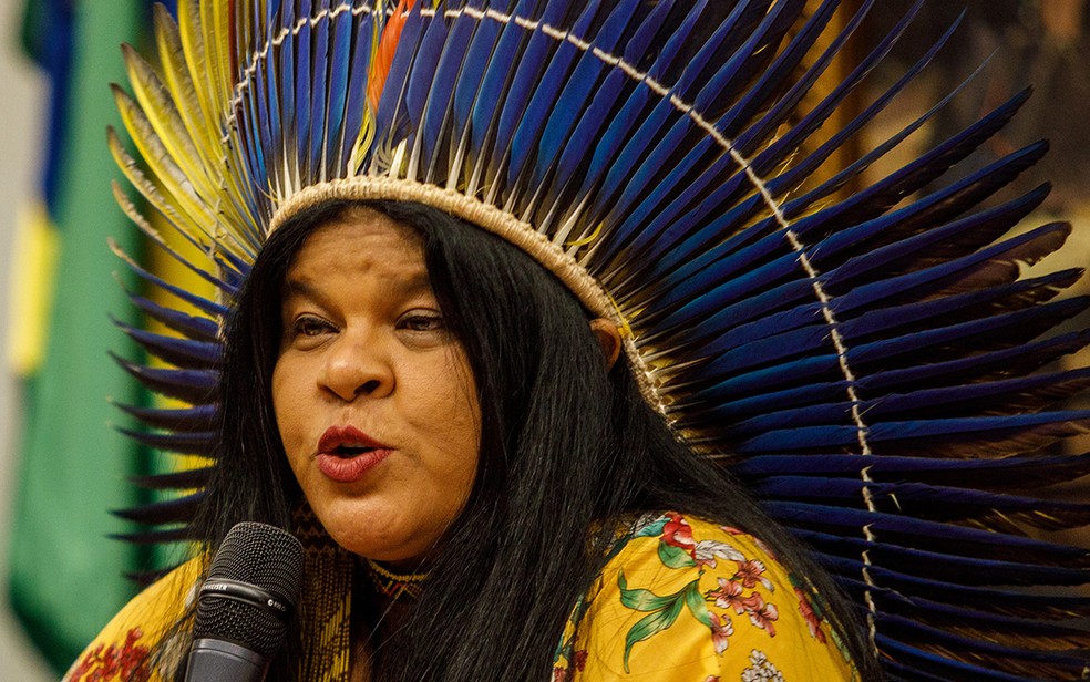 Sônia Guajajara — Foto: Brenno Carvalho/Agência O Globo