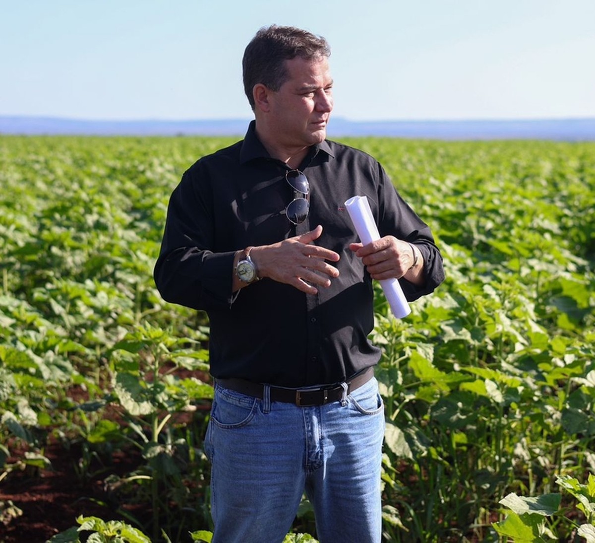 Brazilian farmers pioneer agribusiness ventures in Angola