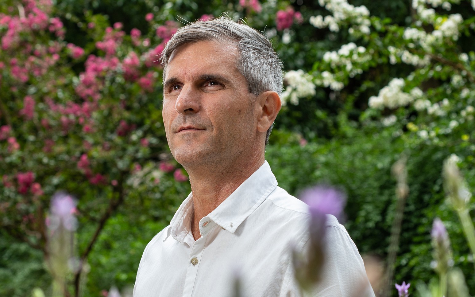 Restoring the Atlantic Forest is a matter of survival, NGO chief says