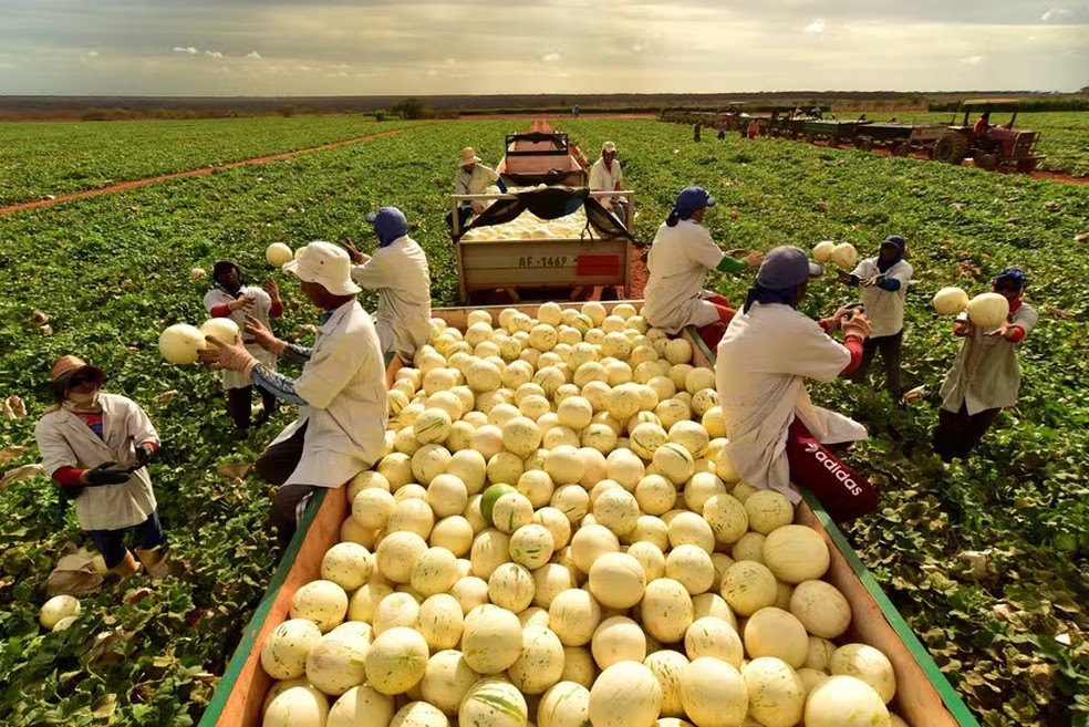 Brazilian fruit giant buys Spain’s El Abuelo to dominate melon market