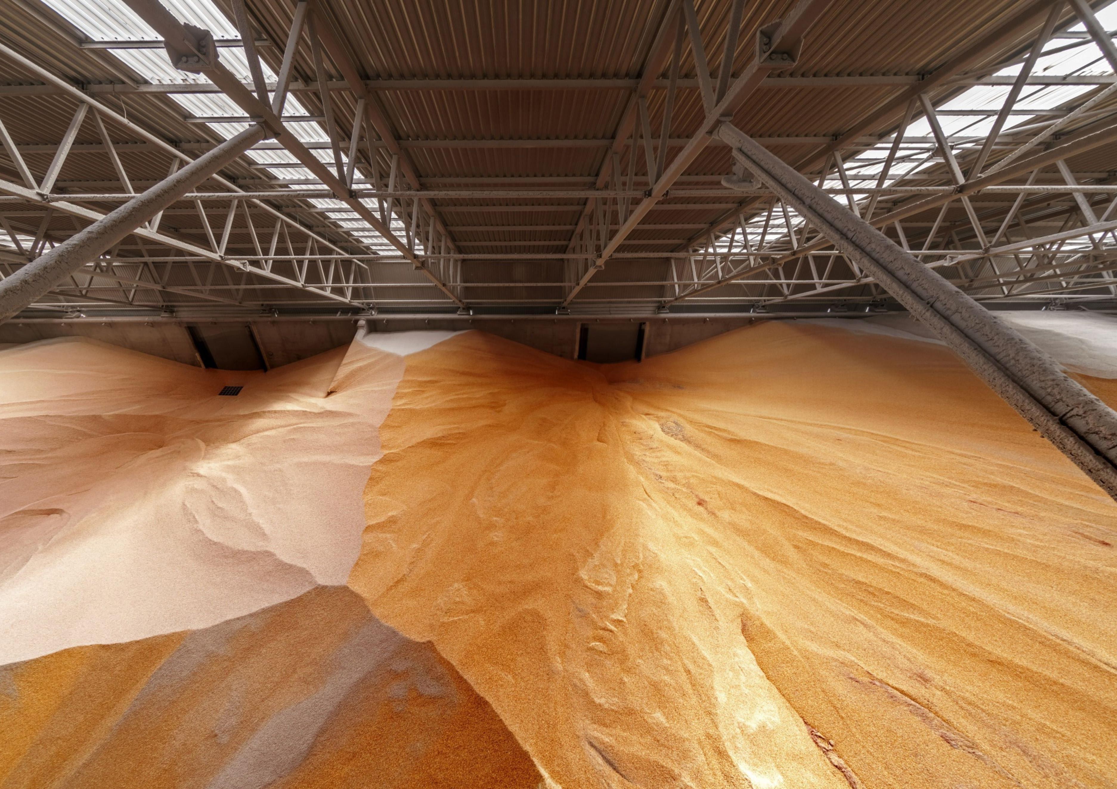 Robust harvest puts pressure on Brazilian grain storage