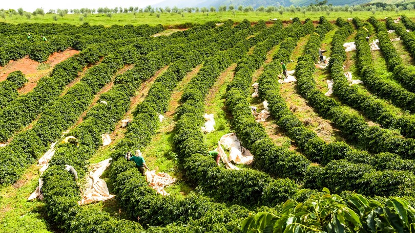 BTG warns of U S tariff hikes if Brazil keeps hidden trade barriers