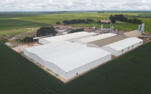 Brazil’s Boa Safra enters Nigeria with corn seed venture