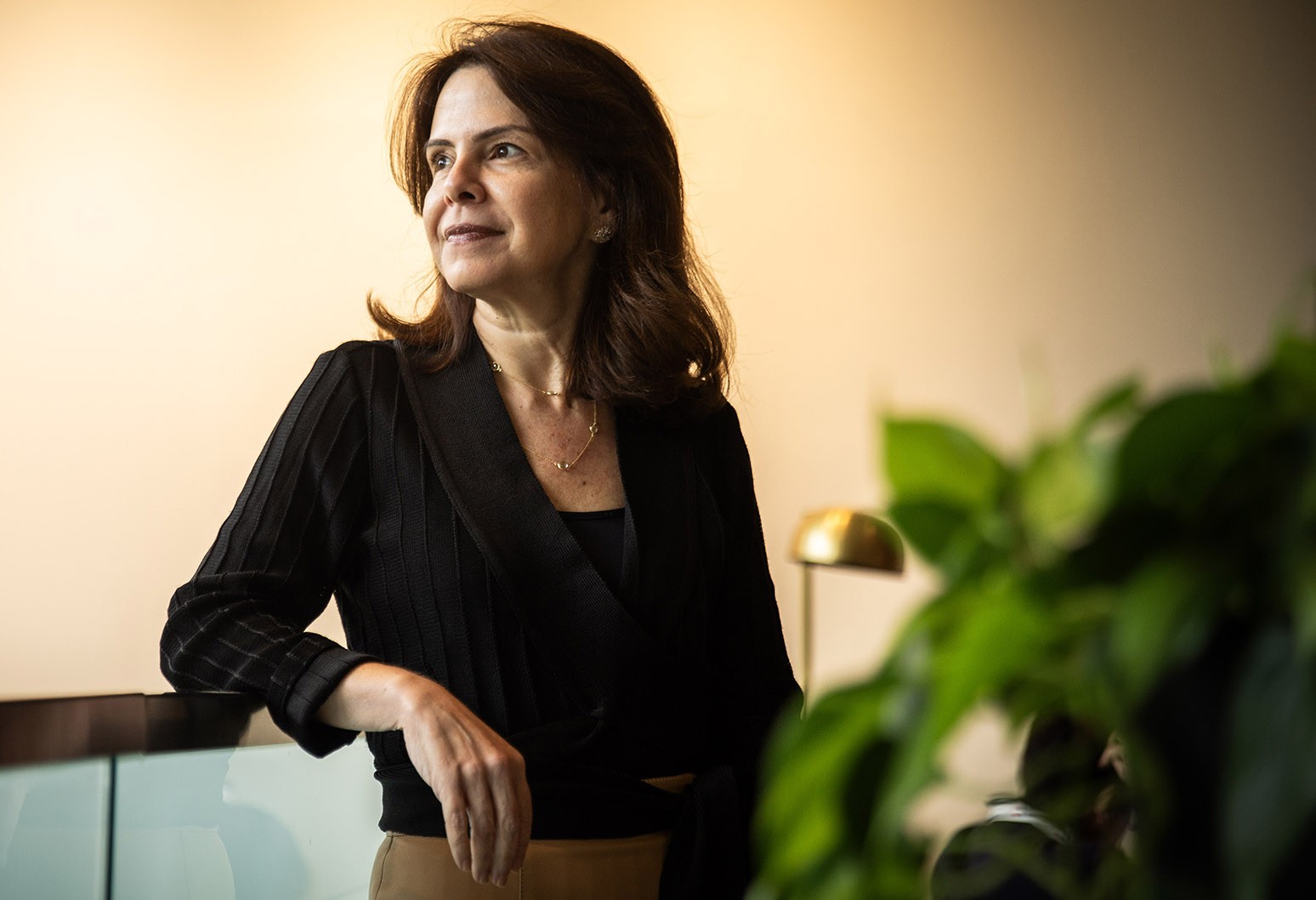 Stimulus to support Brazil’s growth, add inflation pressure in 2026