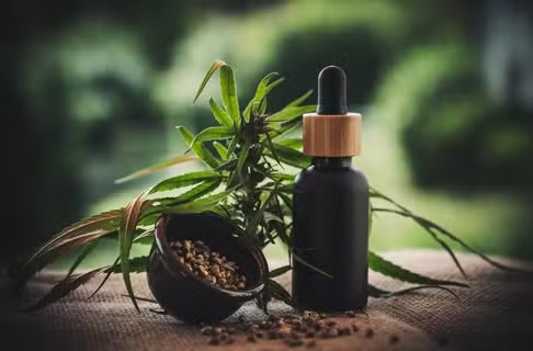 Brazil’s health agency eases rules on medicinal cannabis use