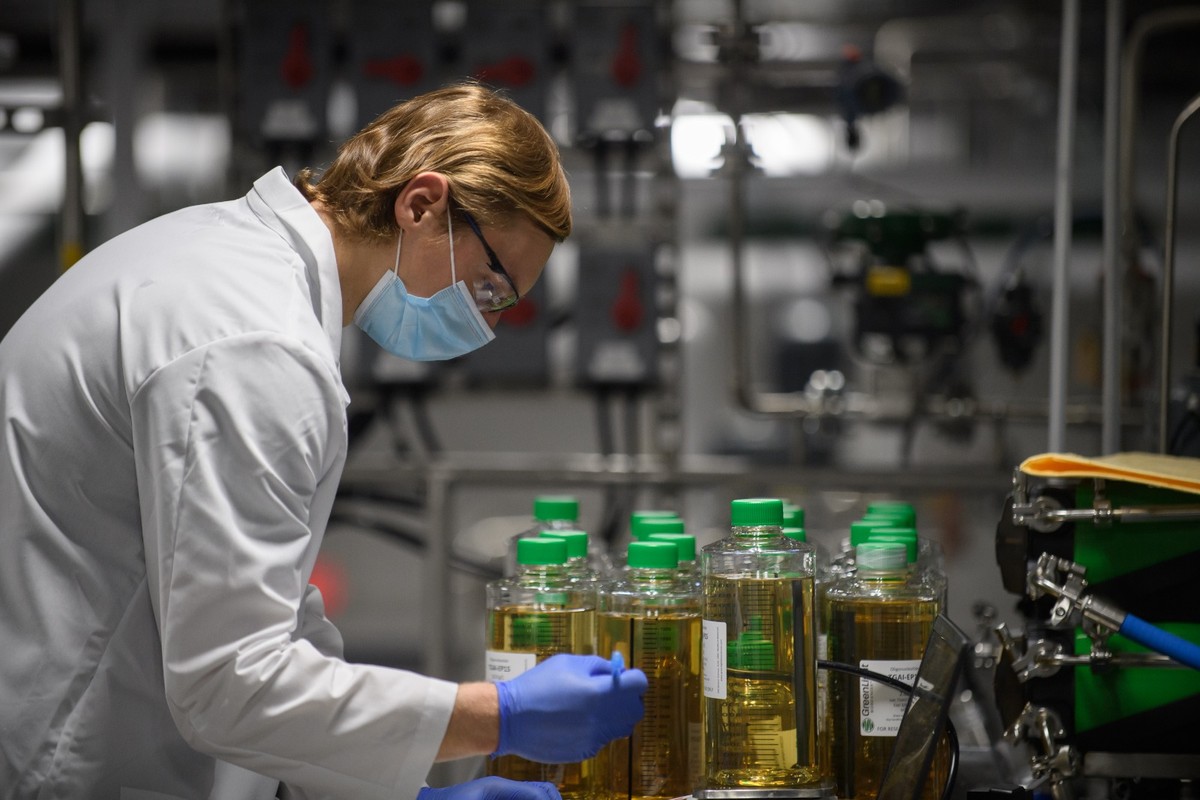 RNA-based pesticide lands in Brazil