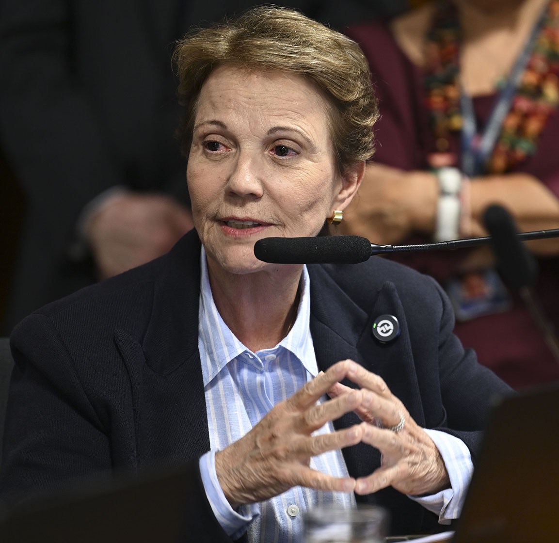 Brazilian lawmakers seek safeguards in Mercosur-EU deal