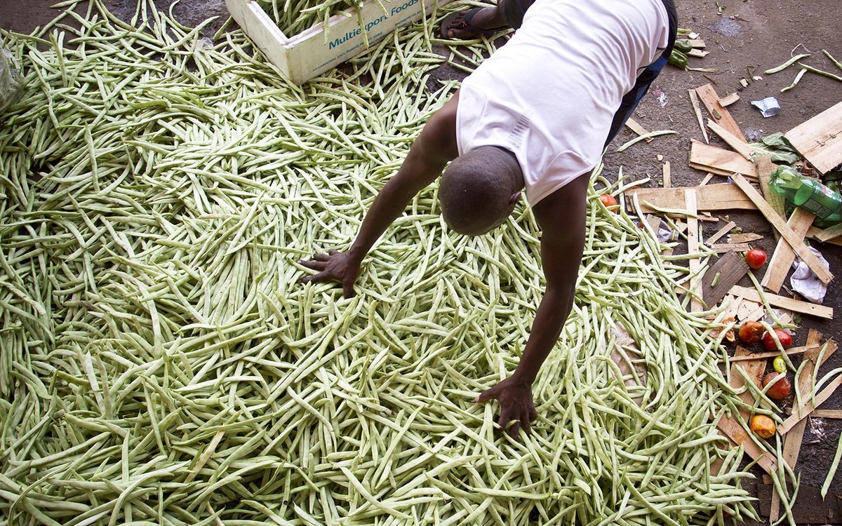 Inequality in rural areas may worsen, study shows