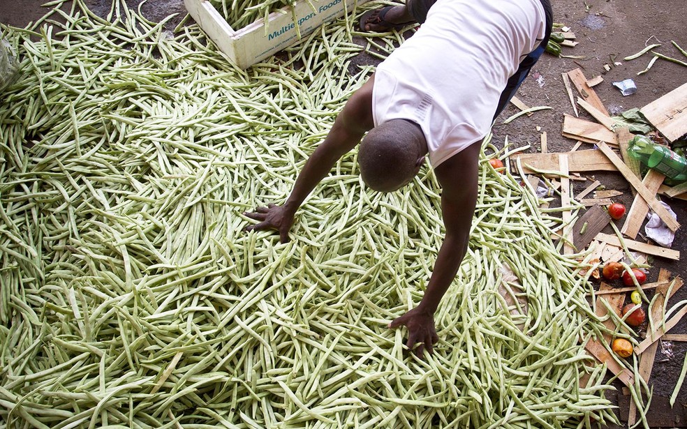 Inequality in rural areas may worsen, study shows