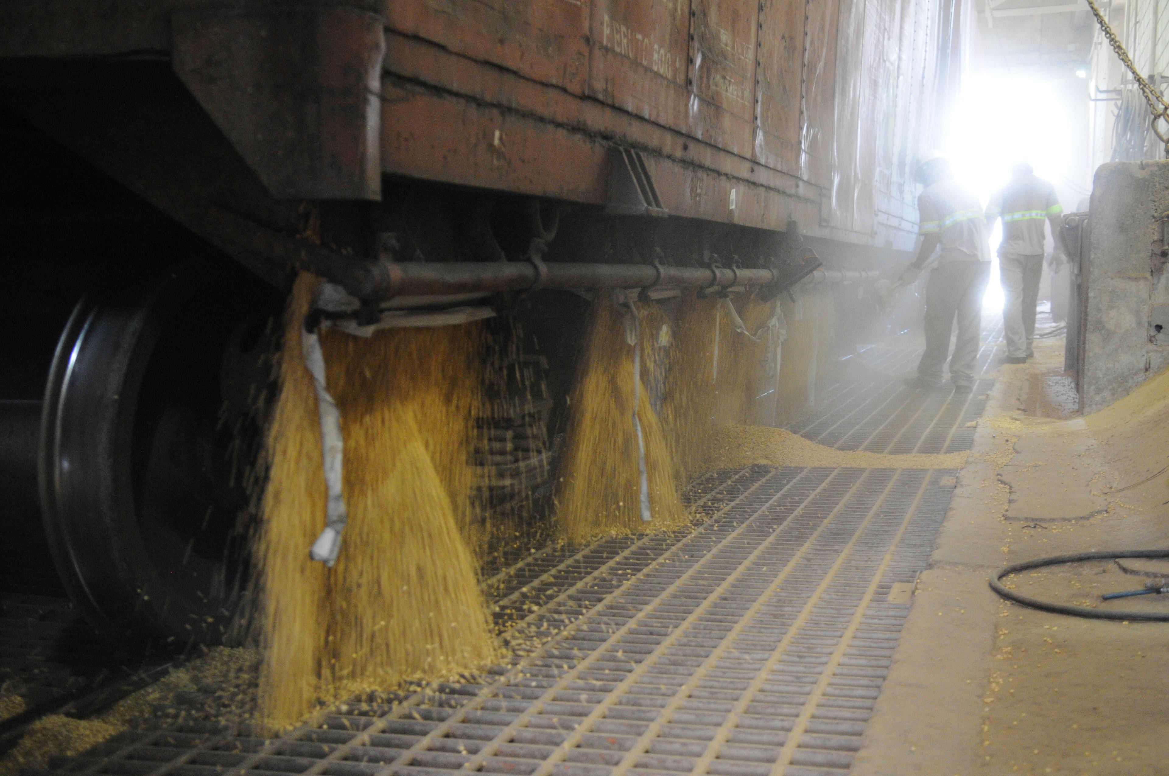 Stricter inspections disrupt Brazil’s soybean exports to China