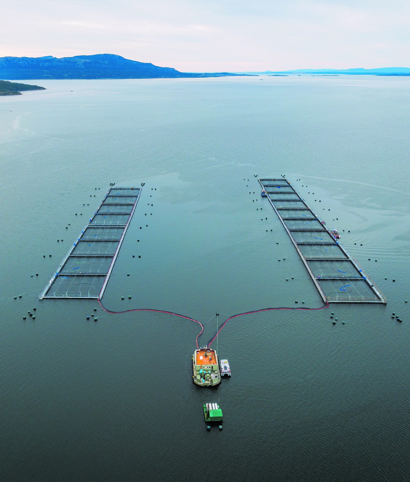 The journey of salmon