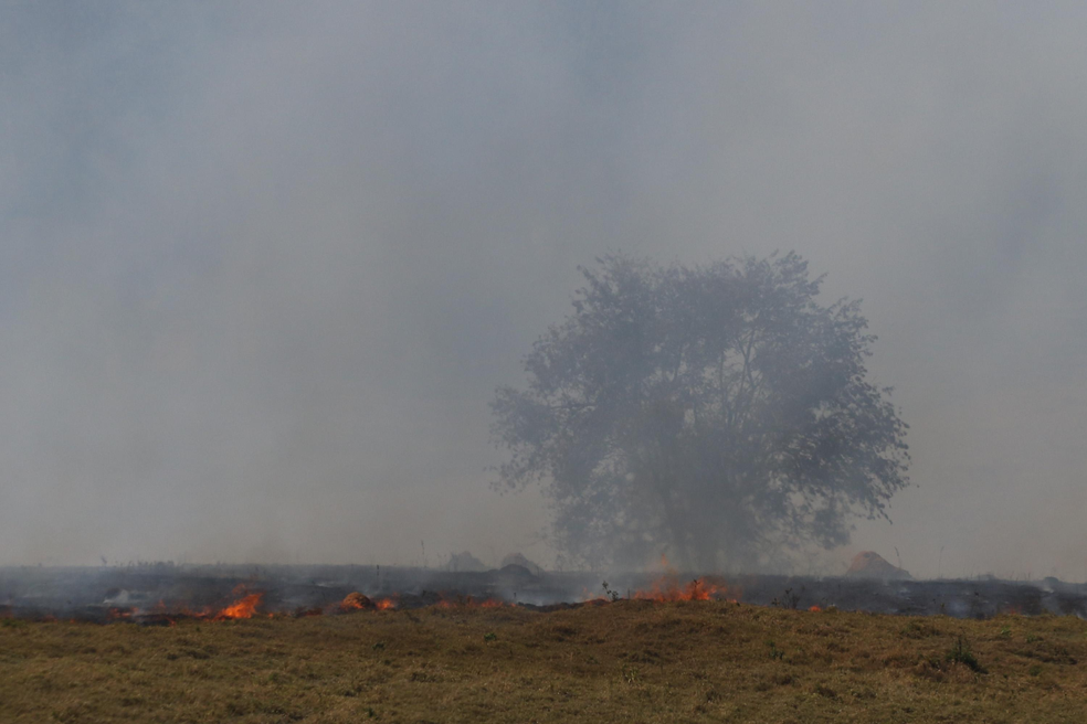 Pasture burned by fire in the Campinas region, São Paulo: Insurers’ risk assessment models, based on historical series, are becoming less effective in the face of climate extremes — Foto: Luciano Claudino/Código 19/Agência O Globo