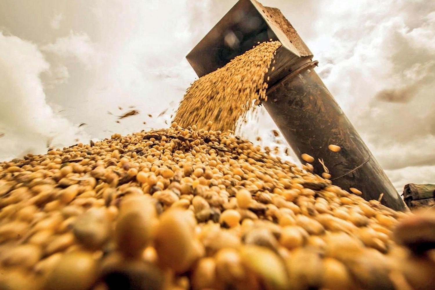 Brazil tries to shield its advantage on soybean exports